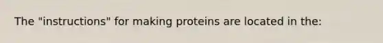 The "instructions" for making proteins are located in the: