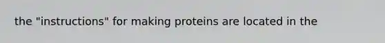 the "instructions" for making proteins are located in the