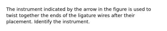 The instrument indicated by the arrow in the figure is used to twist together the ends of the ligature wires after their placement. Identify the instrument.