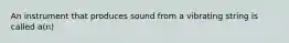 An instrument that produces sound from a vibrating string is called a(n)