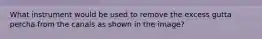 What instrument would be used to remove the excess gutta percha from the canals as shown in the image?