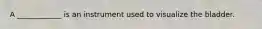 A ____________ is an instrument used to visualize the bladder.