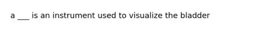 a ___ is an instrument used to visualize the bladder