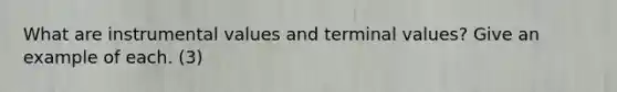 What are instrumental values and terminal values? Give an example of each. (3)