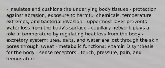 - insulates and cushions the underlying body tissues - protection against abrasion, exposure to harmful chemicals, temperature extremes, and bacterial invasion - uppermost layer prevents water loss from the body's surface - capillary network plays a role in temperature by regulating heat loss from the body - excretory system: urea, salts, and water are lost through the skin pores through sweat - metabolic functions: vitamin D synthesis for the body - sense receptors - touch, pressure, pain, and temperature