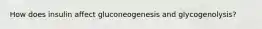 How does insulin affect gluconeogenesis and glycogenolysis?