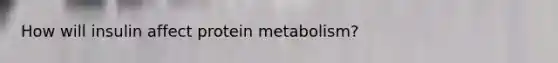 How will insulin affect protein metabolism?