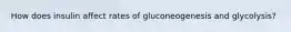 How does insulin affect rates of gluconeogenesis and glycolysis?