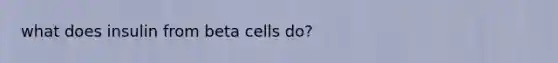 what does insulin from beta cells do?