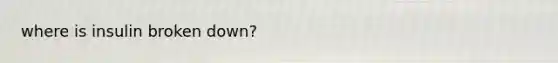 where is insulin broken down?