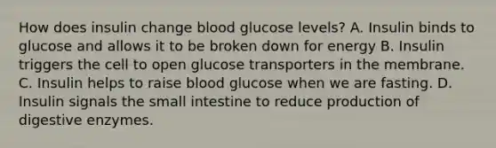 How does insulin change blood glucose levels? A. Insulin binds to glucose and allows it to be broken down for energy B. Insulin triggers the cell to open glucose transporters in the membrane. C. Insulin helps to raise blood glucose when we are fasting. D. Insulin signals the small intestine to reduce production of digestive enzymes.