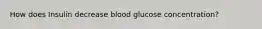 How does Insulin decrease blood glucose concentration?