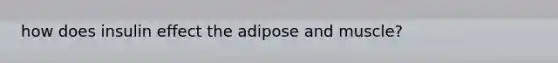 how does insulin effect the adipose and muscle?