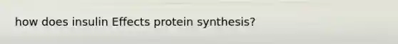 how does insulin Effects protein synthesis?