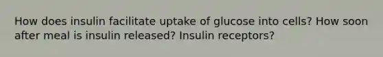 How does insulin facilitate uptake of glucose into cells? How soon after meal is insulin released? Insulin receptors?