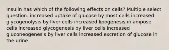 Insulin has which of the following effects on cells? Multiple select question. increased uptake of glucose by most cells increased glycogenolysis by liver cells increased lipogenesis in adipose cells increased glycogenesis by liver cells increased gluconeogenesis by liver cells increased excretion of glucose in the urine