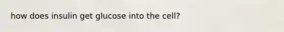 how does insulin get glucose into the cell?