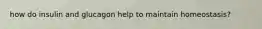 how do insulin and glucagon help to maintain homeostasis?