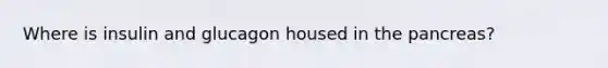 Where is insulin and glucagon housed in the pancreas?