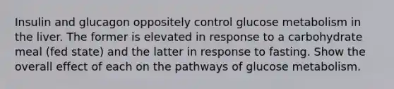 Insulin and glucagon oppositely control glucose metabolism in the liver. The former is elevated in response to a carbohydrate meal (fed state) and the latter in response to fasting. Show the overall effect of each on the pathways of glucose metabolism.