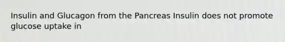 Insulin and Glucagon from the Pancreas Insulin does not promote glucose uptake in