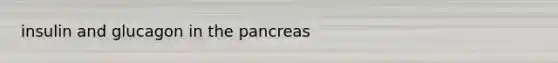 insulin and glucagon in the pancreas