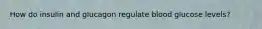 How do insulin and glucagon regulate blood glucose levels?