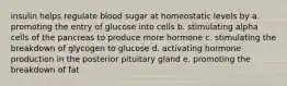 insulin helps regulate blood sugar at homeostatic levels by a. promoting the entry of glucose into cells b. stimulating alpha cells of the pancreas to produce more hormone c. stimulating the breakdown of glycogen to glucose d. activating hormone production in the posterior pituitary gland e. promoting the breakdown of fat