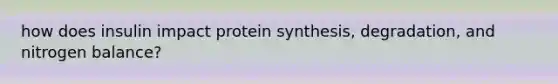 how does insulin impact protein synthesis, degradation, and nitrogen balance?