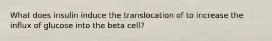 What does insulin induce the translocation of to increase the influx of glucose into the beta cell?