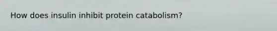 How does insulin inhibit protein catabolism?
