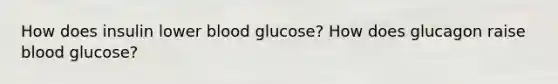 How does insulin lower blood glucose? How does glucagon raise blood glucose?