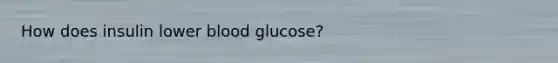 How does insulin lower blood glucose?