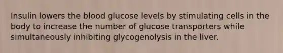 Insulin lowers the blood glucose levels by stimulating cells in the body to increase the number of glucose transporters while simultaneously inhibiting glycogenolysis in the liver.