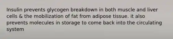 Insulin prevents glycogen breakdown in both muscle and liver cells & the mobilization of fat from adipose tissue. it also prevents molecules in storage to come back into the circulating system