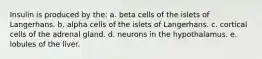 Insulin is produced by the: a. beta cells of the islets of Langerhans. b. alpha cells of the islets of Langerhans. c. cortical cells of the adrenal gland. d. neurons in the hypothalamus. e. lobules of the liver.