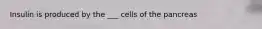 Insulin is produced by the ___ cells of the pancreas