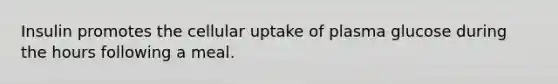 Insulin promotes the cellular uptake of plasma glucose during the hours following a meal.