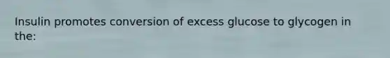 Insulin promotes conversion of excess glucose to glycogen in the: