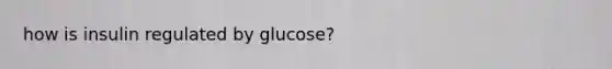 how is insulin regulated by glucose?