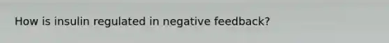 How is insulin regulated in negative feedback?