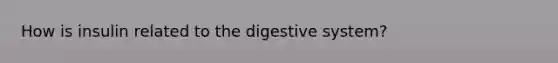 How is insulin related to the digestive system?