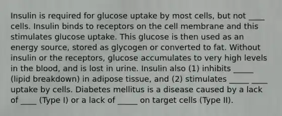 Insulin is required for glucose uptake by most cells, but not ____ cells. Insulin binds to receptors on the cell membrane and this stimulates glucose uptake. This glucose is then used as an energy source, stored as glycogen or converted to fat. Without insulin or the receptors, glucose accumulates to very high levels in the blood, and is lost in urine. Insulin also (1) inhibits _____ (lipid breakdown) in adipose tissue, and (2) stimulates _____ ____ uptake by cells. Diabetes mellitus is a disease caused by a lack of ____ (Type I) or a lack of _____ on target cells (Type II).