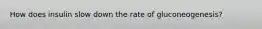 How does insulin slow down the rate of gluconeogenesis?