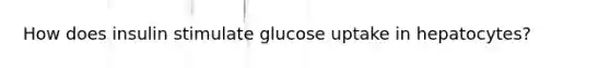 How does insulin stimulate glucose uptake in hepatocytes?