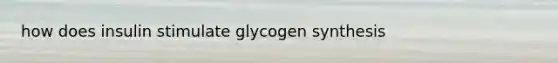 how does insulin stimulate glycogen synthesis