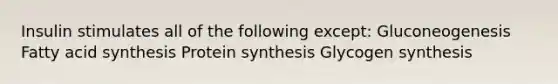 Insulin stimulates all of the following except: Gluconeogenesis Fatty acid synthesis Protein synthesis Glycogen synthesis