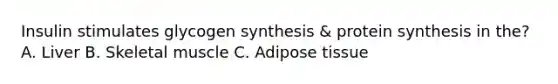 Insulin stimulates glycogen synthesis & protein synthesis in the? A. Liver B. Skeletal muscle C. Adipose tissue