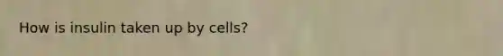 How is insulin taken up by cells?