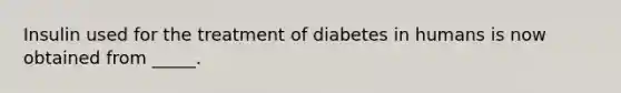 Insulin used for the treatment of diabetes in humans is now obtained from _____.